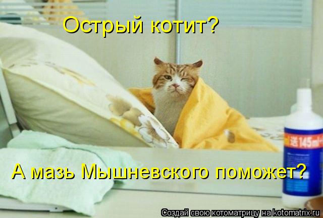 Острый котит? А мазь Мышневского поможет?... Котоматрица: Острый котит? А мазь Мышневского поможет?