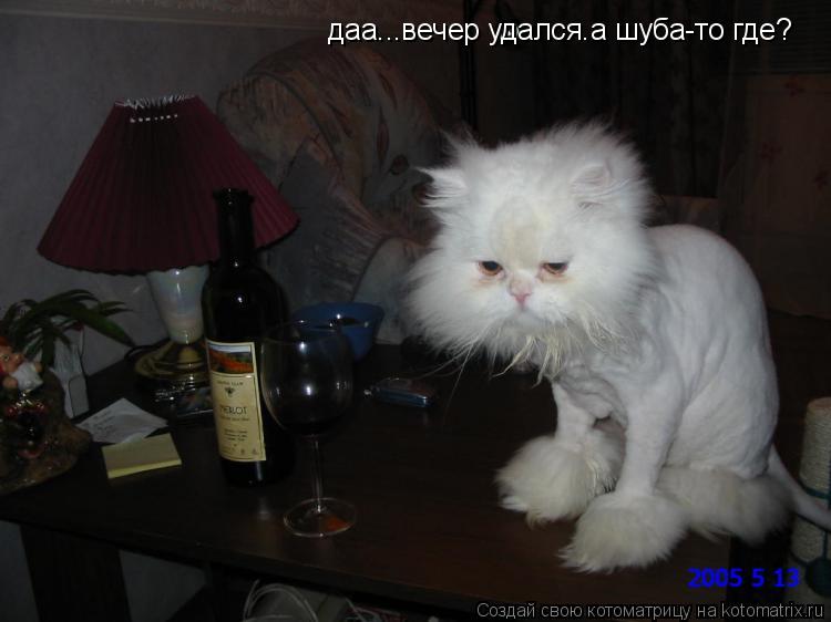 даа...вечер удался.а шуба-то где?... Котоматрица: даа...вечер удался.а шуба-то где?