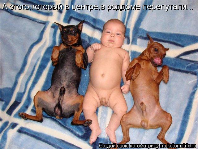 А этого,который в центре,в роддоме перепутали...... Котоматрица: А этого,который в центре,в роддоме перепутали...