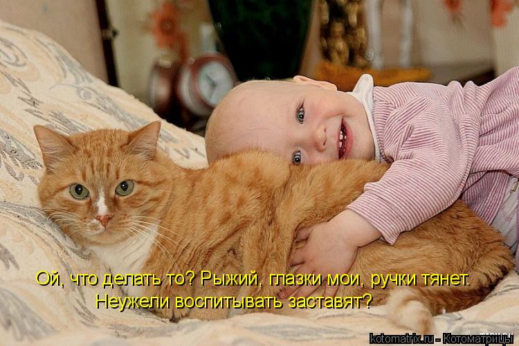Ой, что делать то? Рыжий, глазки мои, ручки тянет. Неужели воспитывать заставят?... Котоматрица: Ой, что делать то? Рыжий, глазки мои, ручки тянет. Неужели воспитывать заставят?