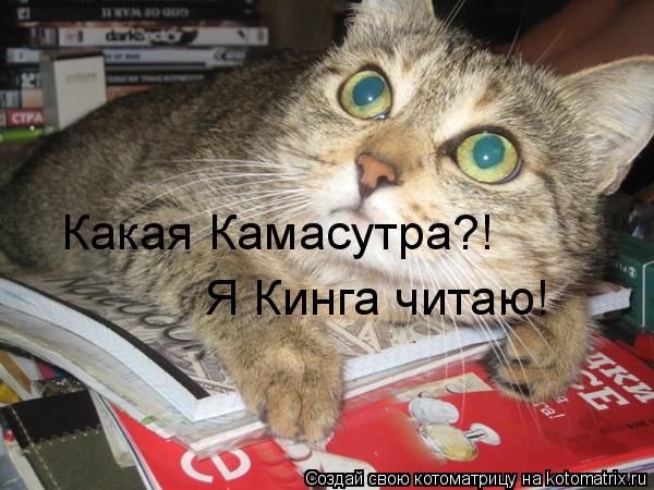 Какая Камасутра?! Я Кинга читаю!... Котоматрица: Какая Камасутра?! Я Кинга читаю!