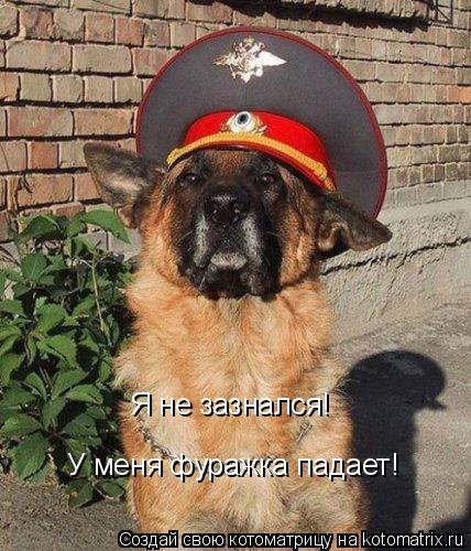 Я не зазнался! У меня фуражка падает!... Котоматрица: Я не зазнался! У меня фуражка падает!
