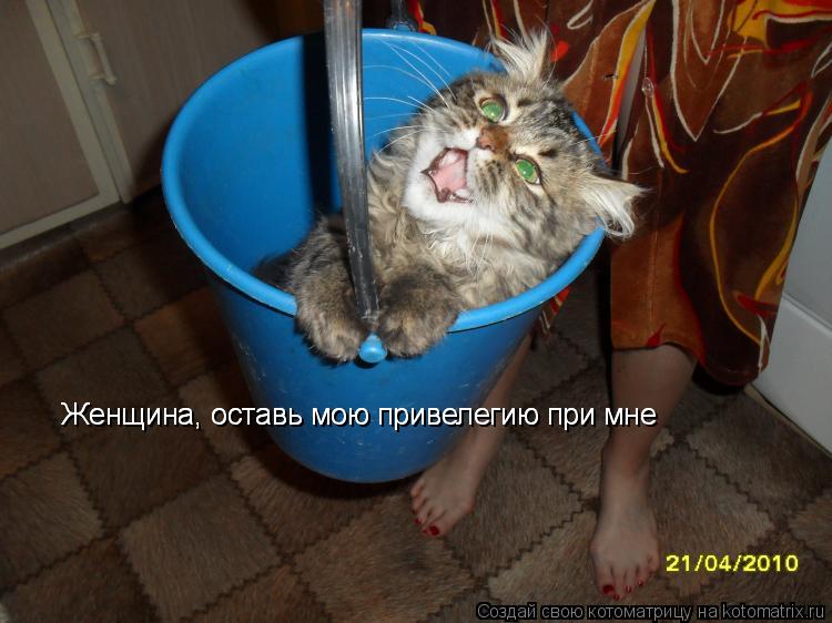 Женщина, оставь мою привелегию при мне Женщина, оставь мою привелегию при мне... Котоматрица: Женщина, оставь мою привелегию при мне Женщина, оставь мою привелегию при мне