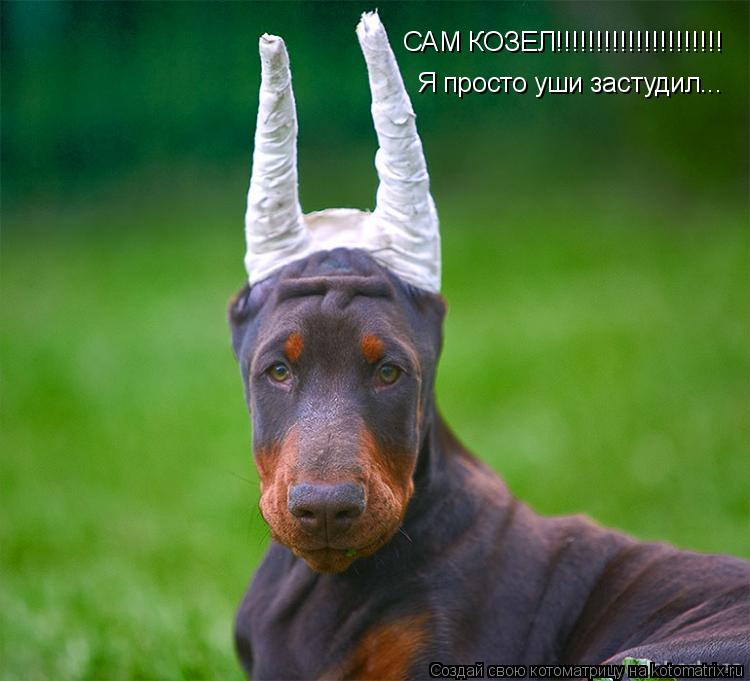 САМ КОЗЕЛ!!!!!!!!!!!!!!!!!!!!! Я просто уши застудил...... Котоматрица: САМ КОЗЕЛ!!!!!!!!!!!!!!!!!!!!! Я просто уши застудил...