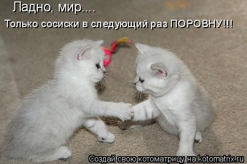 Ладно, мир.... Только сосиски в следующий раз ПОРОВНУ!!!... Котоматрица: Ладно, мир.... Только сосиски в следующий раз ПОРОВНУ!!!