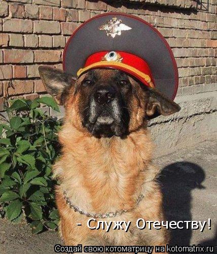 - Служу Отечеству!... Котоматрица: - Служу Отечеству!