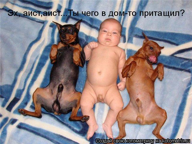 Эх, аист,аист...Ты чего в дом-то притащил?... Котоматрица: Эх, аист,аист...Ты чего в дом-то притащил?