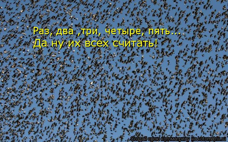 Раз, два ,три, четыре, пять... Да ну их всех считать!... Котоматрица: Раз, два ,три, четыре, пять... Да ну их всех считать!
