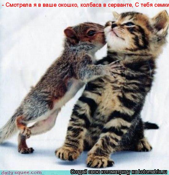 - Смотрела я в ваше окошко, колбаса в серванте, С тебя семки... Котоматрица: - Смотрела я в ваше окошко, колбаса в серванте, С тебя семки