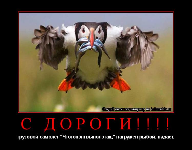 Котоматрица: С ДОРОГИ!!!! грузовой самолет "Чтотопэнгвынолэтащ" нагружен рыбой, падает.