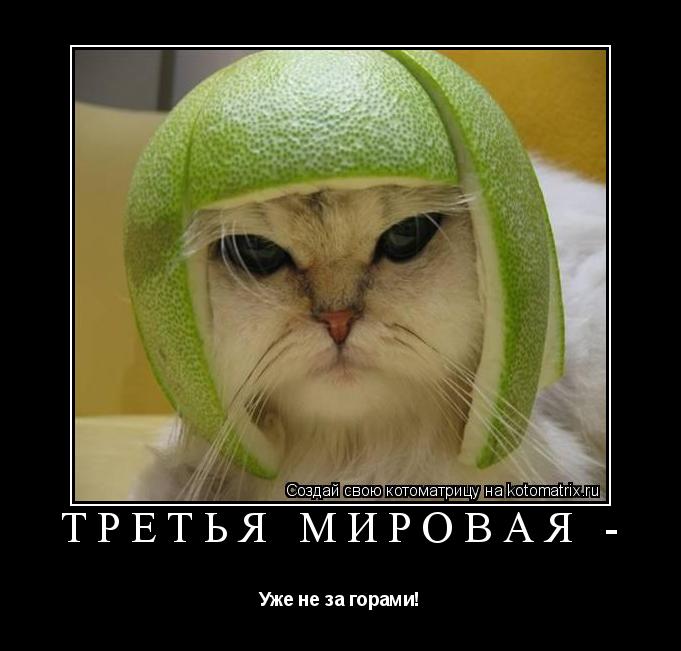 Третья мировая - Уже не за горами!... Котоматрица: Третья мировая - Уже не за горами!
