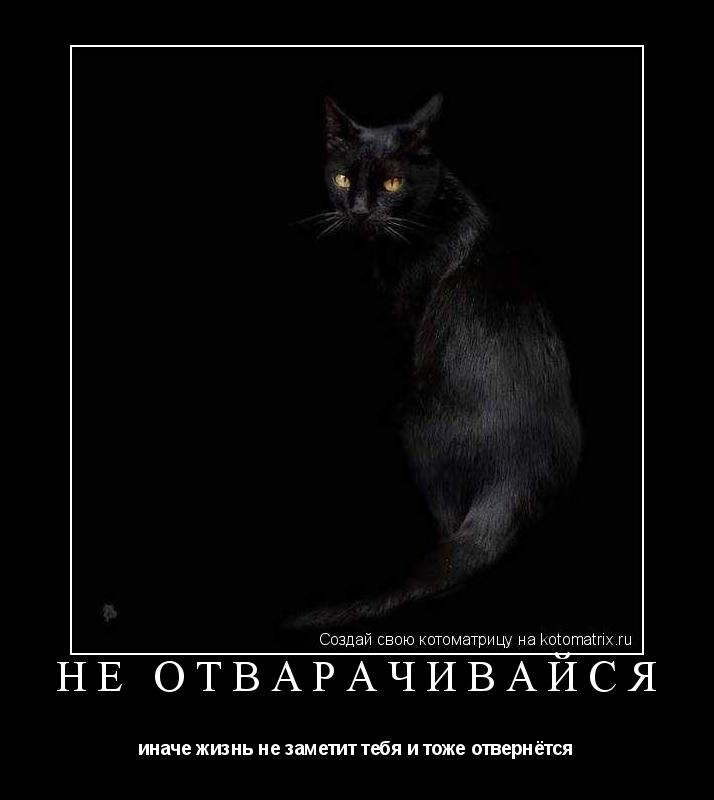 не отварачивайся иначе жизнь не заметит тебя и тоже отвернётся... Котоматрица: не отварачивайся иначе жизнь не заметит тебя и тоже отвернётся