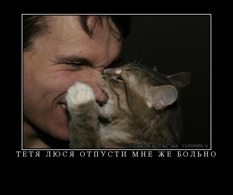 тетя люся отпусти мне же больно ... Котоматрица: тетя люся отпусти мне же больно