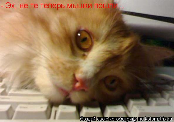 - Эх, не те теперь мышки пошли...... Котоматрица: - Эх, не те теперь мышки пошли...