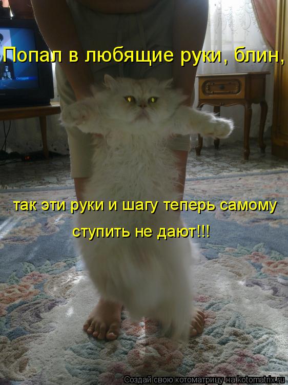 Попал в любящие руки, блин, так эти руки и шагу теперь самому ступить не дают!!!... Котоматрица: Попал в любящие руки, блин, так эти руки и шагу теперь самому ступить не дают!!!