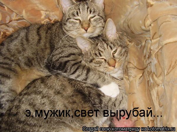 э,мужик,свет вырубай...... Котоматрица: э,мужик,свет вырубай...