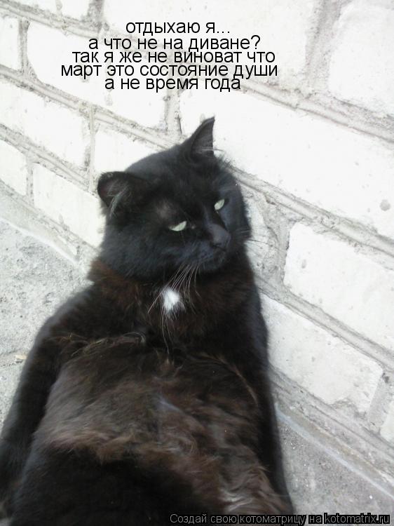 отдыхаю я... а что не на диване? так я же не виноват что март это состояние души а не время года... Котоматрица: отдыхаю я... а что не на диване? так я же не виноват что март это состояние души а не время года