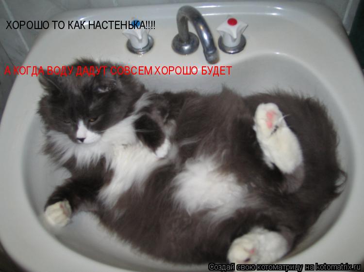 ХОРОШО ТО КАК НАСТЕНЬКА!!!! А КОГДА ВОДУ ДАДУТ СОВСЕМ ХОРОШО БУДЕТ... Котоматрица: ХОРОШО ТО КАК НАСТЕНЬКА!!!! А КОГДА ВОДУ ДАДУТ СОВСЕМ ХОРОШО БУДЕТ
