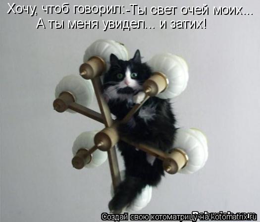 Котоматрица: Хочу, чтоб говорил: -Ты свет очей моих... А ты меня увидел... и затих!