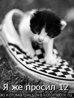 Котоматрица: Я же просил 12