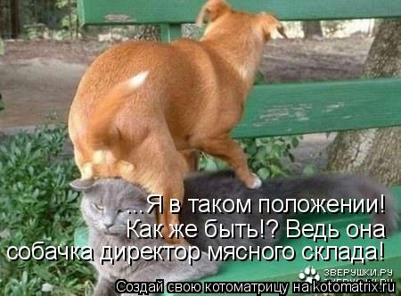 ...Я в таком положении! веди она собачка ...Я в таком положении! Как же быть!? Ведь она собачка дире... Котоматрица: ...Я в таком положении! веди она собачка ...Я в таком положении! Как же быть!? Ведь она собачка директор мясного склада!