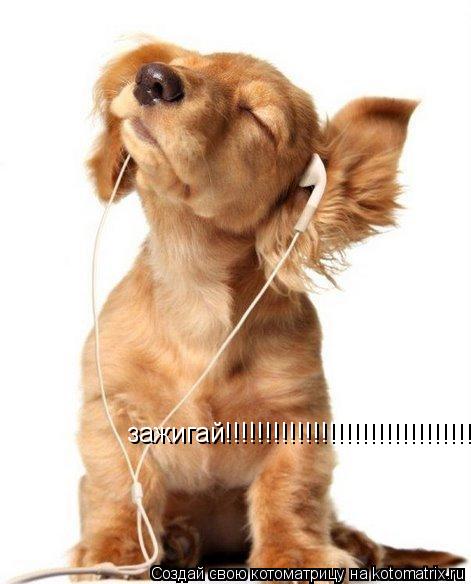 зажигай!!!!!!!!!!!!!!!!!!!!!!!!!!!!!!!!!!!!!!!!!!!!!!!!!!!!!!!!!!!!!!!!!!!!!!!!!!!!!!!!!!!!!!!!!!!!... Котоматрица: зажигай!!!!!!!!!!!!!!!!!!!!!!!!!!!!!!!!!!!!!!!!!!!!!!!!!!!!!!!!!!!!!!!!!!!!!!!!!!!!!!!!!!!!!!!!!!!!