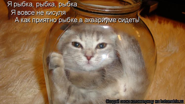 Я рыбка, рыбка, рыбка Я вовсе не кисуля А как приятно рыбке в аквариуме сидеть !... Котоматрица: Я рыбка, рыбка, рыбка Я вовсе не кисуля А как приятно рыбке в аквариуме сидеть !