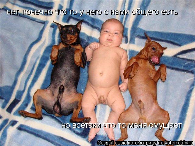 нет, конечно что то у него с нами общего есть но всетаки что то меня смущает... Котоматрица: нет, конечно что то у него с нами общего есть но всетаки что то меня смущает