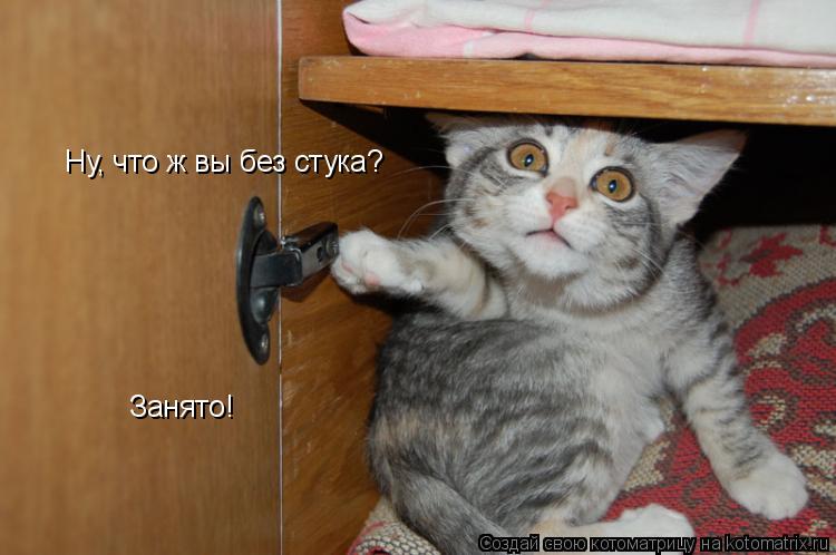 Ну, что ж вы без стука? Занято!... Котоматрица: Ну, что ж вы без стука? Занято!