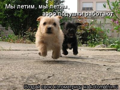 Мы летим, мы летим, аэро подушки работают... Котоматрица: Мы летим, мы летим, аэро подушки работают