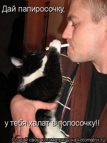Дай папиросочку, у тебя халат в полосочку!!... Котоматрица: Дай папиросочку, у тебя халат в полосочку!!