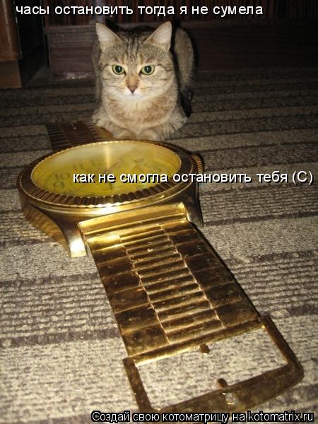 часы остановить тогда я не сумела как не смогла остановить тебя (С)... Котоматрица: часы остановить тогда я не сумела как не смогла остановить тебя (С)
