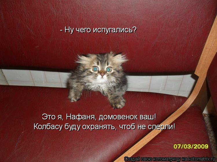- Ну чего испугались? Это я, Нафаня, домовенок ваш! Колбасу буду охранять, чтоб не сперли!... Котоматрица: - Ну чего испугались? Это я, Нафаня, домовенок ваш! Колбасу буду охранять, чтоб не сперли!