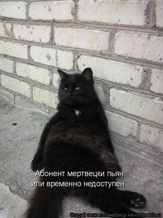Абонент мертвецки пьян или временно недоступен... Котоматрица: Абонент мертвецки пьян или временно недоступен