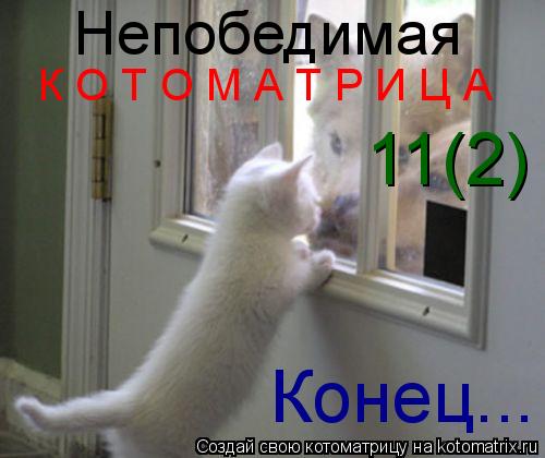 Непобедимая К О Т О М А Т Р И Ц А 11(2) Конец...... Котоматрица: Непобедимая К О Т О М А Т Р И Ц А 11(2) Конец...