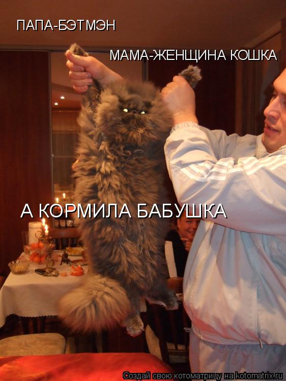 ПАПА-БЭТМЭН ПАПА-БЭТМЭН МАМА-ЖЕНЩИНА КОШКА А КОРМИЛА БАБУШКА... Котоматрица: ПАПА-БЭТМЭН ПАПА-БЭТМЭН МАМА-ЖЕНЩИНА КОШКА А КОРМИЛА БАБУШКА