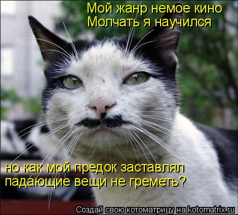 Мой жанр немое кино Молчать я научился но как мой предок заставлял падающие вещи не греметь?... Котоматрица: Мой жанр немое кино Молчать я научился но как мой предок заставлял падающие вещи не греметь?