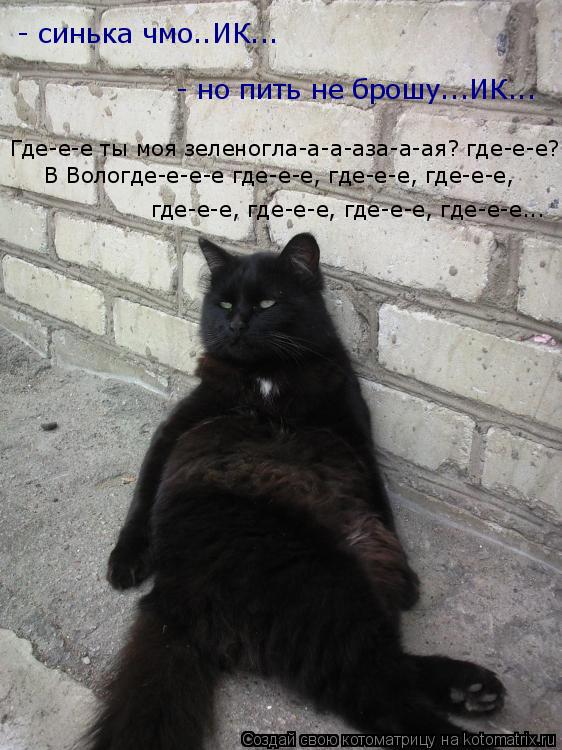 - синька чмо..ИК... - но пить не брошу...ИК... Где-е-е ты моя зеленогла-а-а-аза-а-ая? где-е-е? В Воло... Котоматрица: - синька чмо..ИК... - но пить не брошу...ИК... Где-е-е ты моя зеленогла-а-а-аза-а-ая? где-е-е? В Вологде-е-е-е где-е-е, где-е-е, где-е-е, где-е-е, где