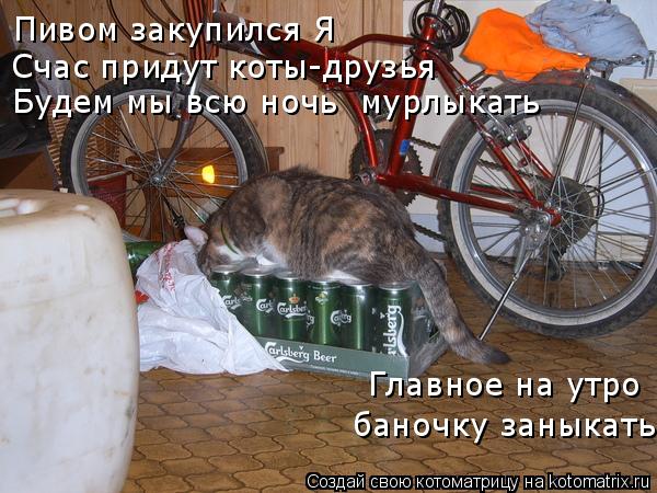Пивом закупился Я Счас придут коты-друзья Будем мы всю ночь «мурлыкать» Главное на утро баночку занык... Котоматрица: Пивом закупился Я Счас придут коты-друзья Будем мы всю ночь «мурлыкать» Главное на утро баночку заныкать
