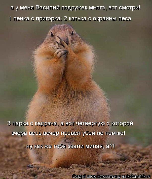 1 ленка с пригорка: 2 катька с окраины леса 3 ларка с кедрача, а вот четвертую с которой вчера весь ... Котоматрица: 1 ленка с пригорка: 2 катька с окраины леса 3 ларка с кедрача, а вот четвертую с которой вчера весь вечер провел убей не помню! ну как же тебя з
