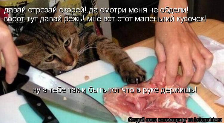 давай отрезай скорей! да смотри меня не обдели! вооот тут давай режь! мне вот этот маленький кусочек!... Котоматрица: давай отрезай скорей! да смотри меня не обдели! вооот тут давай режь! мне вот этот маленький кусочек! ну а тебе так и быть тот что в руке держи