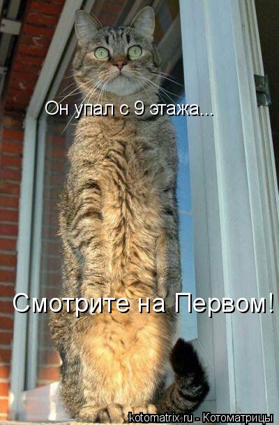 Он упал с 9 этажа... Смотрите на Первом!... Котоматрица: Он упал с 9 этажа... Смотрите на Первом!