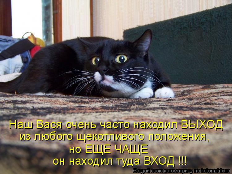 Наш Вася очень часто находил ВЫХОД он находил туда ВХОД !!! но ЕЩЕ ЧАЩЕ из любого щекотливого положе... Котоматрица: Наш Вася очень часто находил ВЫХОД он находил туда ВХОД !!! но ЕЩЕ ЧАЩЕ из любого щекотливого положения,