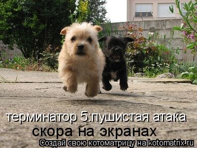 терминатор 5:пушистая атака скора на экранах... Котоматрица: терминатор 5:пушистая атака скора на экранах