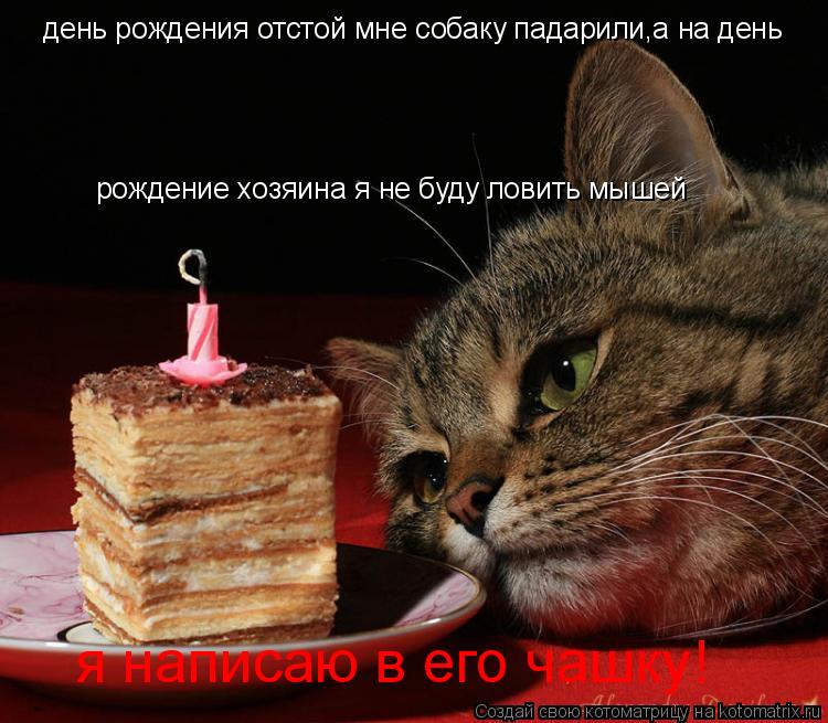 день рождения отстой мне собаку падарили,а на день рождение хозяина я не буду ловить мышей я написаю... Котоматрица: день рождения отстой мне собаку падарили,а на день рождение хозяина я не буду ловить мышей я написаю в его чашку!
