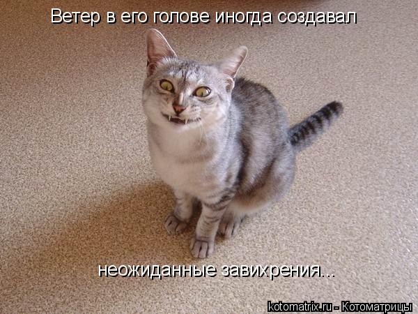 Ветер в его голове иногда создавал неожиданные завихрения...... Котоматрица: Ветер в его голове иногда создавал неожиданные завихрения...
