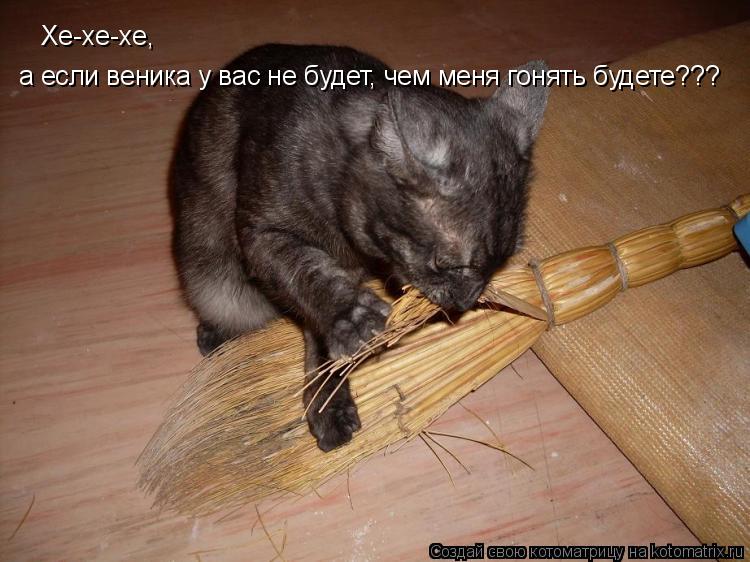 Хе-хе-хе, а если веника у вас не будет, чем меня гонять будете???... Котоматрица: Хе-хе-хе, а если веника у вас не будет, чем меня гонять будете???