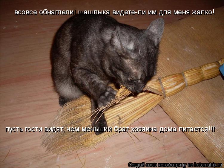 всовсе обнаглели! шашлыка видете-ли им для меня жалко! пусть гости видят, чем меньший брат хозяина до... Котоматрица: всовсе обнаглели! шашлыка видете-ли им для меня жалко! пусть гости видят, чем меньший брат хозяина дома питается!!!