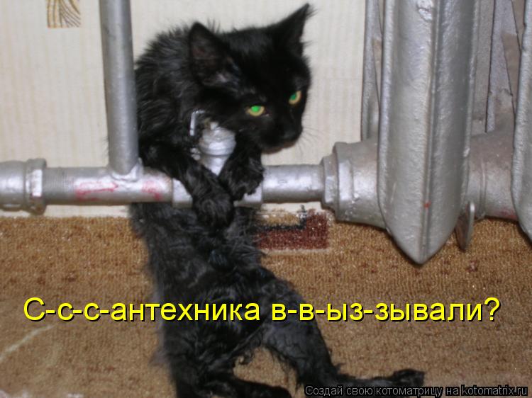 С-с-с-антехника в-в-ыз-зывали?... Котоматрица: С-с-с-антехника в-в-ыз-зывали?