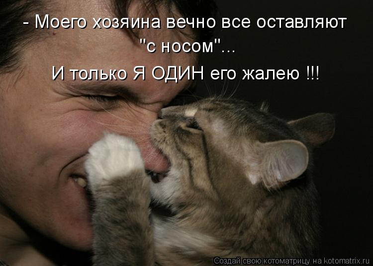 Котоматрица: - Моего хозяина вечно все оставляют "с носом"... И только Я ОДИН его жалею !!!